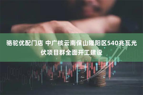 骆驼优配门店 中广核云南保山隆阳区540兆瓦光伏项目群全面开工建设