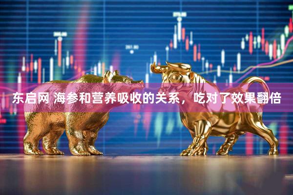 东启网 海参和营养吸收的关系，吃对了效果翻倍