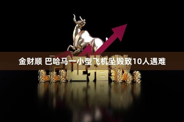 金财顺 巴哈马一小型飞机坠毁致10人遇难
